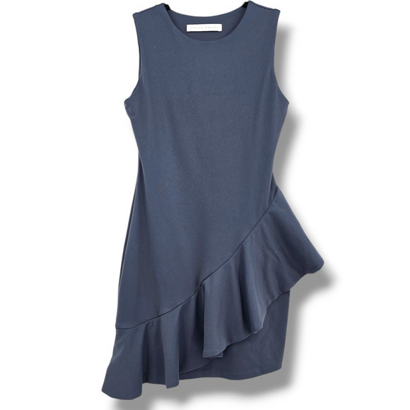 Susan Monaco Women's Stretch Thick Ponte Knit Ruffle Hem‎ Sleeveless Dress Small - Picture 1 of 10